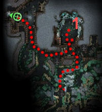 coop08-1.jpg coop08-1.jpg