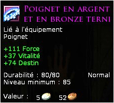 749128Poignetenargentetenbronzeterni.jpg
