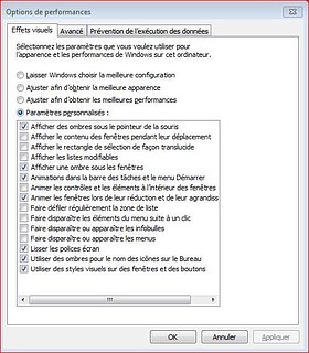 Cliquez sur l'image pour la voir en taille relle

Nom : options et performances W7.JPG
Taille : 486x555
Poids : 78,2 Ko
ID : 198223
