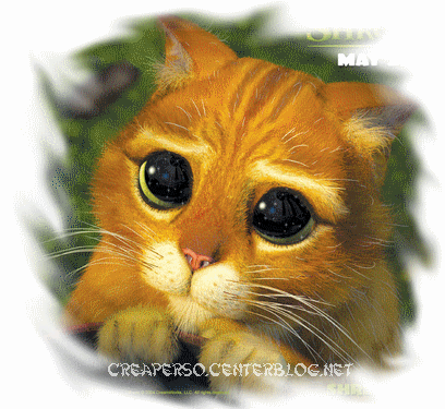 506oa8fb.gif 506oa8fb.gif