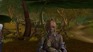 Cliquez sur l'image pour la voir en taille relle

Nom : Aion0173.jpg
Taille : 1280x720
Poids : 327,2 Ko
ID : 88033