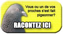 marre-faire-pigeonner-L-1.jpg