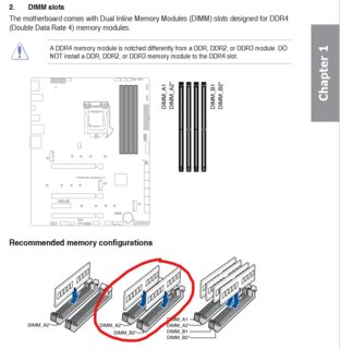 DIMM_Z590.png
