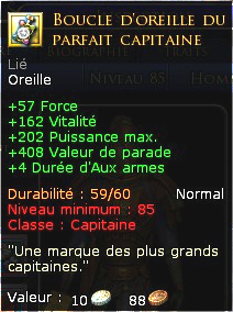 431178Boucledoreilleduparfaitcapitaine.jpg