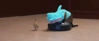 tumblr_mm8yjcsbK71s8dwazo1_500.gif tumblr_mm8yjcsbK71s8dwazo1_500.gif