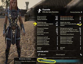 pierre du voleur.jpg