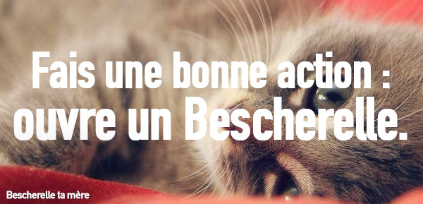 04chaton-78654.jpg