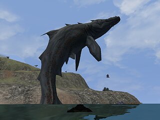 sshot020.jpg sshot020.jpg