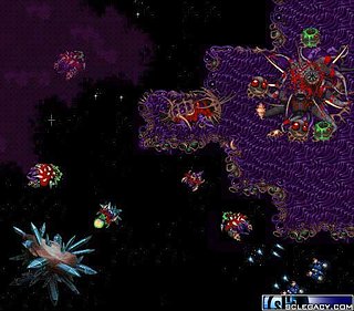 Cliquez sur l'image pour la voir en taille relle

Nom : earlyalpha5.jpg
Taille : 512x449
Poids : 31,4 Ko
ID : 18953