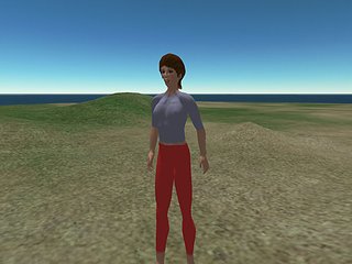 Cliquez sur l'image pour la voir en taille relle

Nom : opensim_001.jpg
Taille : 800x600
Poids : 54,6 Ko
ID : 31163