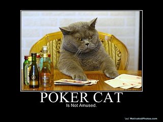 Cliquez sur l'image pour la voir en taille relle

Nom : 633740368710825040-pokercat.jpg
Taille : 800x600
Poids : 52,2 Ko
ID : 102663