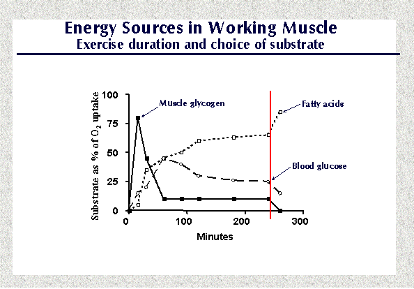 muscle7.gif muscle7.gif