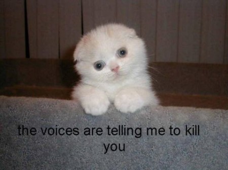 lolcatsdotcoma4o07iazar8y3i7n.jpg lolcatsdotcoma4o07iazar8y3i7n.jpg