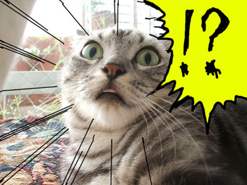 1232200289011.jpg 1232200289011.jpg