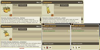 Cliquez sur l'image pour la voir en taille relle

Nom : pano-nanas-2.jpg
Taille : 771x392
Poids : 49,4 Ko
ID : 21773