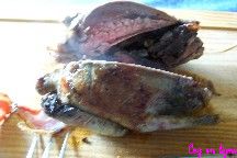 pigeon.jpg pigeon.jpg