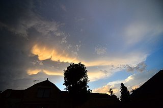 Cliquez sur l'image pour la voir en taille relle

Nom : mamatus2.jpg
Taille : 1600x1060
Poids : 225,7 Ko
ID : 171283
