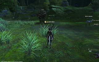 Cliquez sur l'image pour la voir en taille relle

Nom : FFXIV_1287572806.jpg
Taille : 1680x1050
Poids : 849,3 Ko
ID : 117193