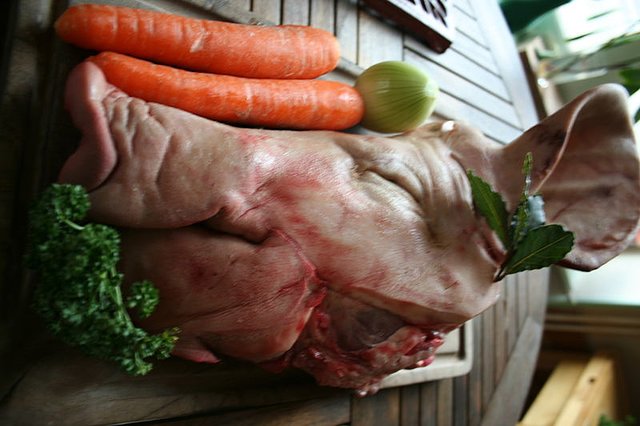 50397847.jpg 50397847.jpg