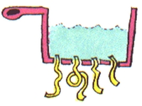 passoire4.jpg