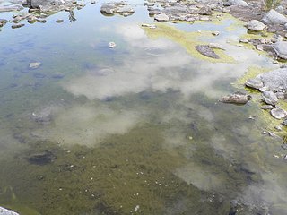 Cliquez sur l'image pour la voir en taille relle

Nom : reflet_nuage.JPG
Taille : 1024x768
Poids : 739,8 Ko
ID : 34104