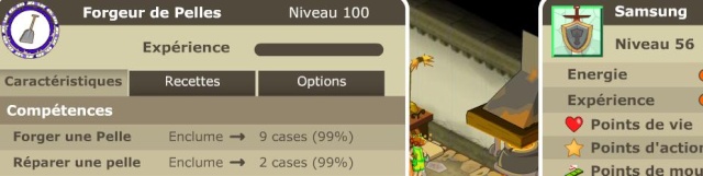 pelle10.jpg pelle10.jpg