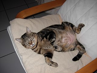 Cliquez sur l'image pour la voir en taille relle

Nom : DSCN1124.jpg
Taille : 1280x960
Poids : 299,8 Ko
ID : 42504