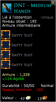 175076itemwithslots.jpg