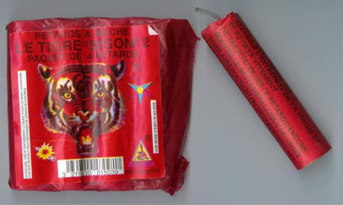 31bison2.jpg 31bison2.jpg