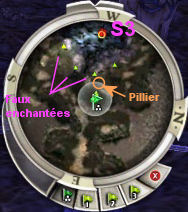 coop12-4.jpg coop12-4.jpg