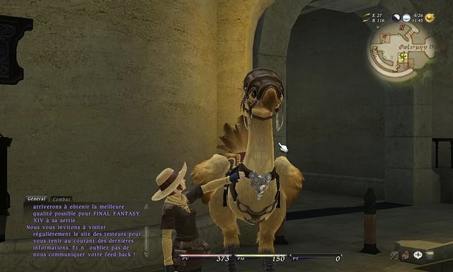 chocobo-1.jpg chocobo-1.jpg