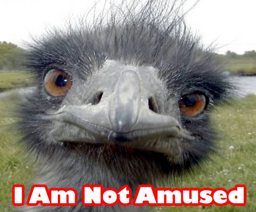 IamNotAmused.jpg