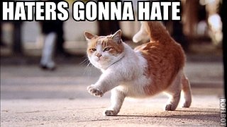 haters-gonna-hate.jpg haters-gonna-hate.jpg