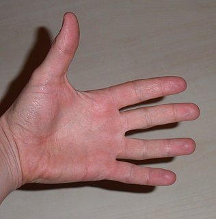 Cliquez sur l'image pour la voir en taille relle

Nom : Paume_de_main.jpg
Taille : 1266x1284
Poids : 88,4 Ko
ID : 178434