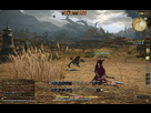 1371397038-ffxiv-2013-06-16-02-41-27-55.png