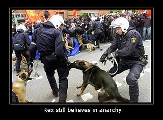 Cliquez sur l'image pour la voir en taille relle

Nom : rexanarchy.jpg
Taille : 614x450
Poids : 49,0 Ko
ID : 101754
