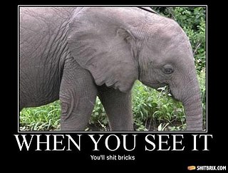 Cliquez sur l'image pour la voir en taille relle

Nom : elephant-38721.jpg
Taille : 735x558
Poids : 52,9 Ko
ID : 54854