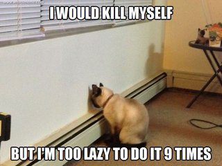 cat suicide9.png