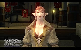 ffxivgame 2010-07-27 13-36-38-75.jpg