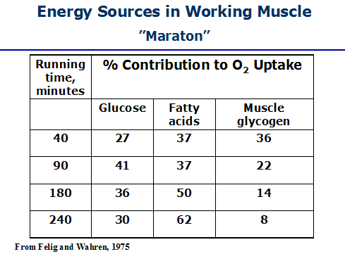 muscle20.gif muscle20.gif