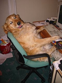 Cliquez sur l'image pour la voir en taille relle

Nom : trop une bete my dog.jpg
Taille : 1200x1600
Poids : 416,1 Ko
ID : 55074