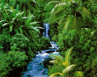 cascade.jpg cascade.jpg