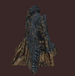 burnedstump.jpg