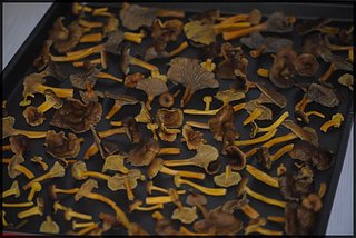 Cliquez sur l'image pour la voir en taille relle

Nom : DSC_0150[1].jpg
Taille : 1179x789
Poids : 142,7 Ko
ID : 161284