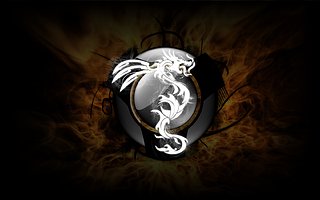 Cliquez sur l'image pour la voir en taille relle

Nom : _FlamEDragoN___Wallpaper_1_v2__by_ForceDragonX.jpg
Taille : 1680x1050
Poids : 192,7 Ko
ID : 78284