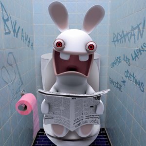 lapin_cretin_toilettes.jpg lapin_cretin_toilettes.jpg