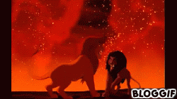 giphy.gif giphy.gif