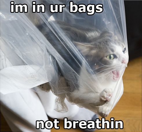 1191862800-1748notbreathin.b.jpg 1191862800-1748notbreathin.b.jpg