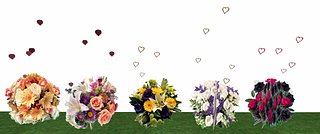 Cliquez sur l'image pour la voir en taille relle

Nom : sle-bouquets-animes.jpg
Taille : 1152x481
Poids : 66,1 Ko
ID : 25105