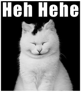 cat hehehe.jpg cat hehehe.jpg